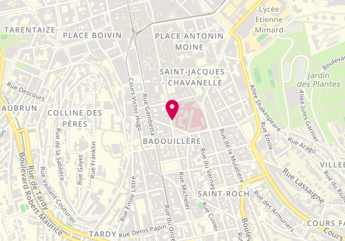 Plan de Au Paradis des Chiens, 39 Rue Michelet, 42000 Saint-Étienne