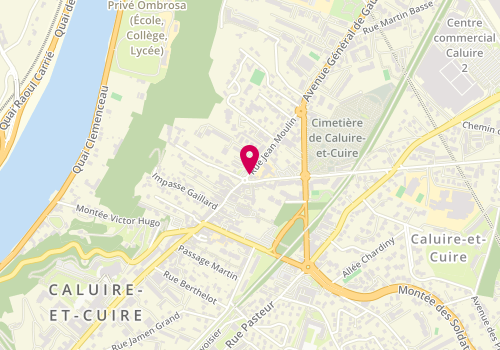 Plan de Caluire Toilettage, 110 Rue Jean Moulin, 69300 Caluire-et-Cuire