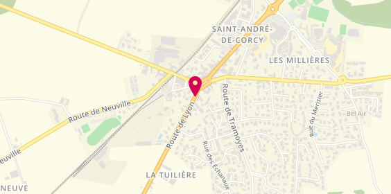 Plan de Toutou & Matou, 57 Lyon, 01390 Saint-André-de-Corcy