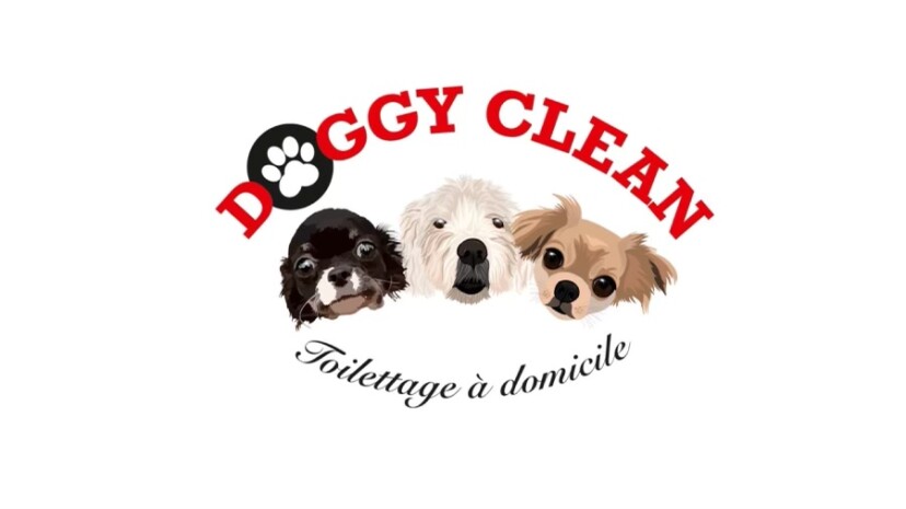 Doggy Clean - À domicile - 37510 Saint-Genouph